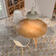 Pav. Carnaby silver 45x45 фото4