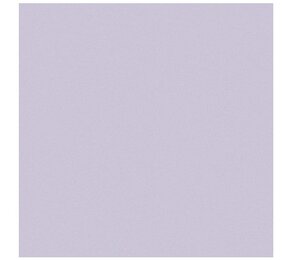 Фото Pav.GAMMA Malva 33.3x33.3 Dual Gres