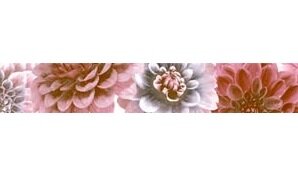Фото Cenefa Colors бордюр настенный 4.9x45 Geotiles