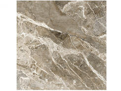 Плитка WONDER COFEE POLISHED 60x60