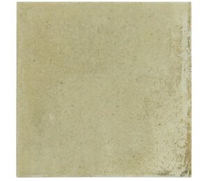 Фото Raku Sage 10х10 30820 Equipe