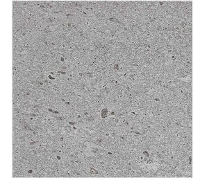 Фото Керамогранит Sight Silver Lapp. Rett 59х59 Keope