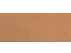 Плитка fPI8 Summer Terracotta 30,5x91,5 RT