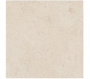 Фото Eterna Blanco rett. 60x60 R8JS Ragno