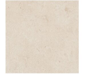 Фото R8JS Eterna Blanco rett. 60x60 Ragno