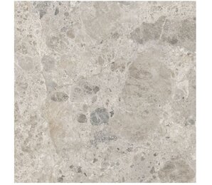 Фото Eterna Mix Gris rett. 60x60 R8JX Ragno