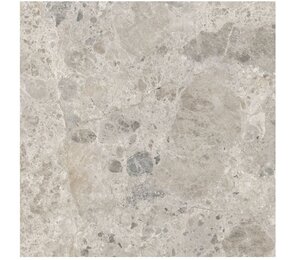 Фото R8JX Eterna Mix Gris rett. 60x60 Ragno