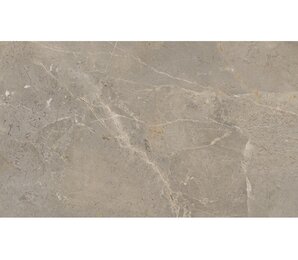 Фото Augustus Brown Rect. Natural 60x120 Ape Ceramica
