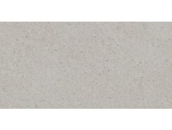 Плитка DD591200R Чеппо ди Гре серый светлый матовый обрезной 119,5x238,5x1,1