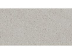 Плитка DD591220R Чеппо ди Гре серый светлый матовый обрезной 119,5x238,5x0,9