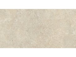 Плитка Stoneland Ivory Rect 60x120