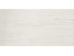 Marvel Bianco Dolomite 120x240 Lappato +24203