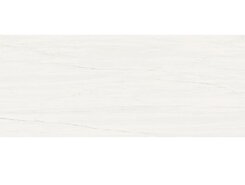 Плитка Marvel Bianco Dolomite 50x120 +34721