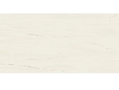 Плитка Marvel Bianco Dolomite 60x120 Lappato +35259
