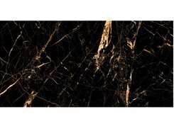 CV20199 Ambassador Black Gold 60x120