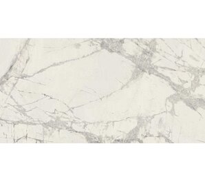 Фото Magnum Prexious Mountain Treasure 6mm Matte Ret 120x280 Rex