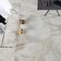 Odissey Ivory Polished 60x60 фото5