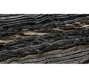 Фото Rock Symphony Glam Lux 59.4x119 Roberto Cavalli