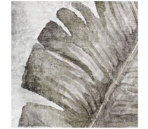 Фото Amazonia Tropic Grey 13.8x13.8 zyx