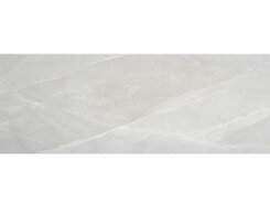 Плитка Tango Grey Brillo Rect. 33.3x90