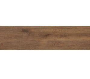 Фото Articwood Amber Rect. 22.7x119.5 Stn Ceramica