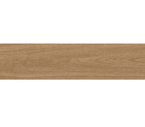 Фото Forest Palm 20x120 Matt staro