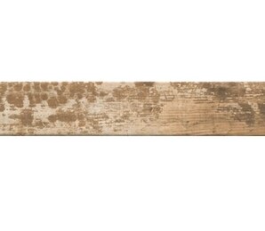 Фото Kentucky Pine 6.5x40 Cir