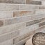 Dackel фото4