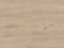 Abbi 1003-1