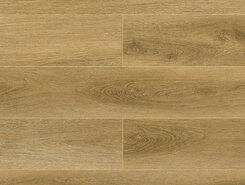 Costante 1004-5