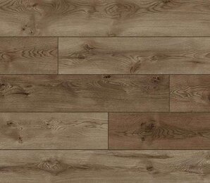 Фото Дуб Эри Vision 4V 52791 classen