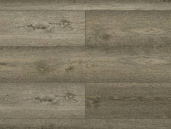 Foresta 1004-13