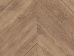 Гевуина ECO 20-10A