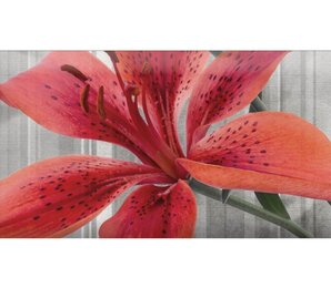 Фото Monocolor Mix Flowers RBW 7х15 Absolut Keramika