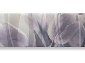 Фото Декор Decor Intense Violette 20*60 Ape Ceramica