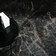 Плитка MM9H ALLMARBLE RAFFAELLO LUX 58*58 фото5
