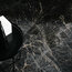 Allmarble фото4