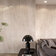 Basaltina Sand Prelucidato (Soft) 6 mm 100х300 n050346 фото3
