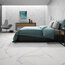 Trevi фото3