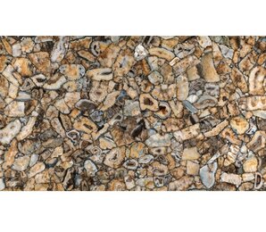 Фото Agata Atena Lucidato (Shiny) 6 mm 150x300 n087261 ariostea