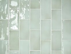 26902 MANACOR Mint 7,5х15 см