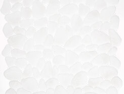 AGPL-ICE