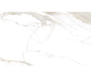 Фото praline gold nt 60х120 38437 museum