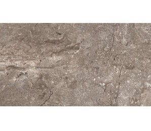 Фото Stone Grey Polished 60x120 6405 leopard