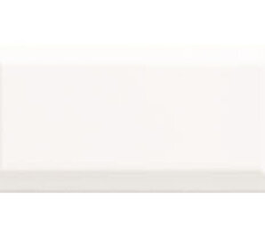 Фото Plus Bissel Blanco Brillo 10x20 Mainzu (восток)