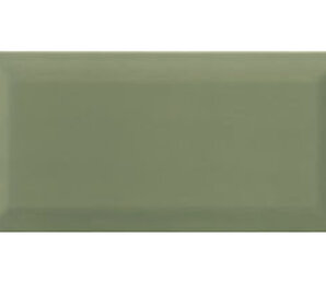 Фото Plus Bissel Green Olive 10x20 Mainzu (восток)