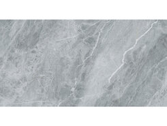 Плитка Savoia Pietra Di Argento Rect. 60x120