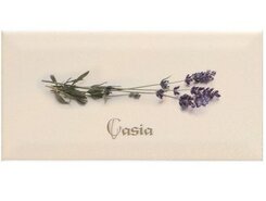 Плитка Декор DECOR CASIA CREMA 10*20