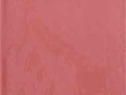 Плитка Плитка Giorno Rojo 20*20