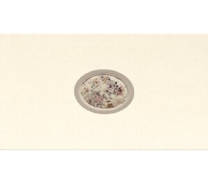 Фото Декор VENTANA CELINE CREAM 23.5x58 Goldencer